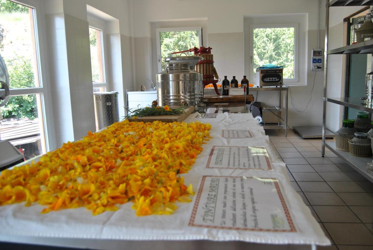 Bed and Breakfast Ca' Dei Fazzilisti Mori Exteriér fotografie