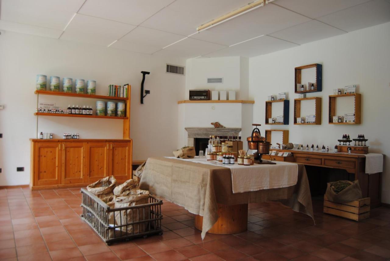 Bed and Breakfast Ca' Dei Fazzilisti Mori Exteriér fotografie